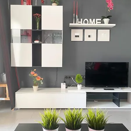 Oasis *